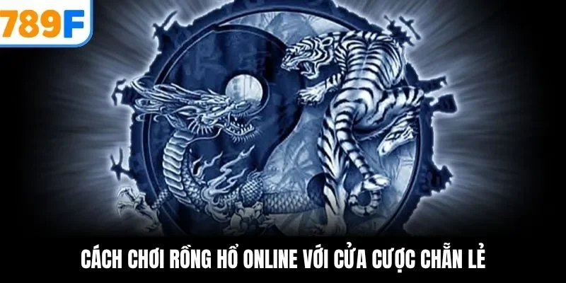 Cách chơi rồng hổ online với cửa cược chẵn lẻ