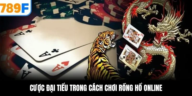 Cược đại tiểu trong cách chơi rồng hổ online