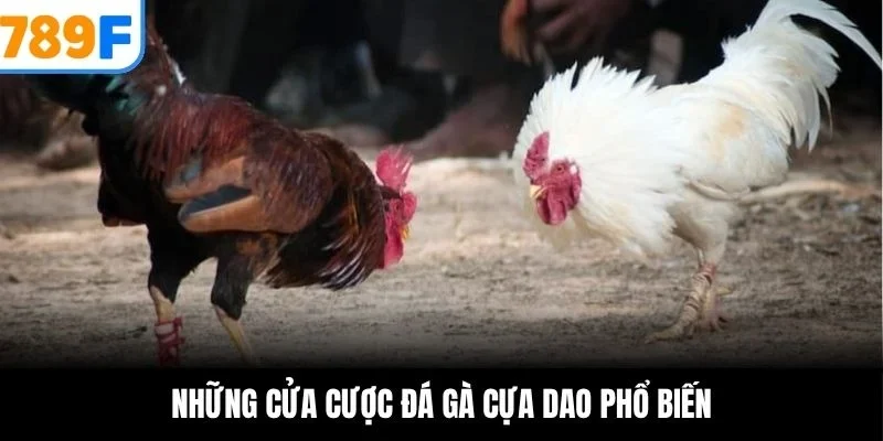 Những cửa cược đá gà cựa dao phổ biến