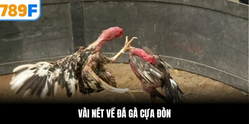 Vài nét về đá gà cựa đòn