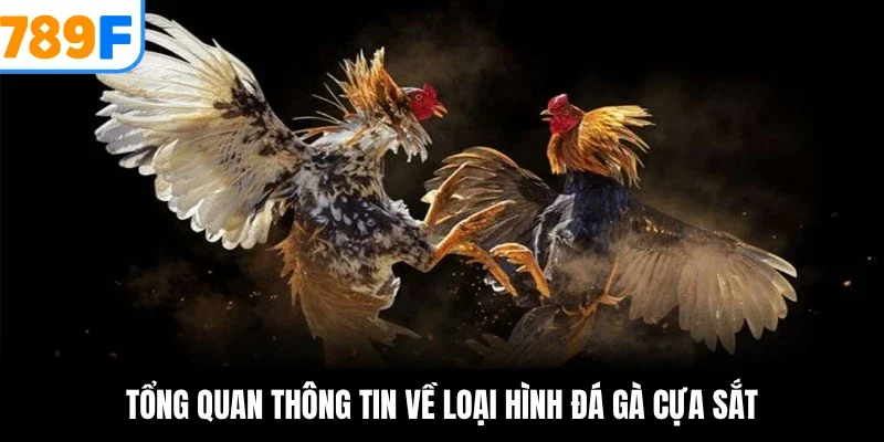 Tổng quan thông tin về loại hình đá gà cựa sắt